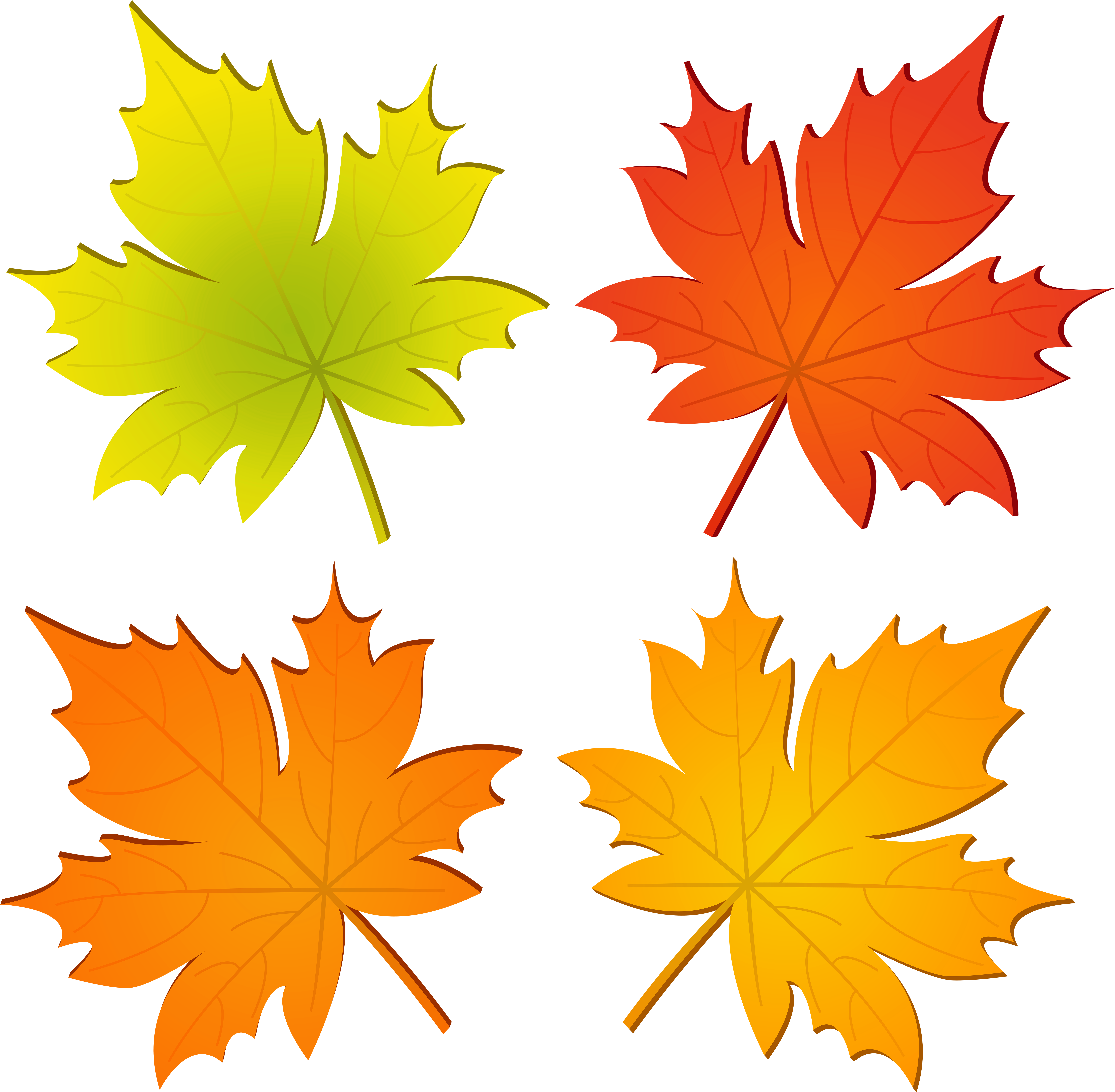 Thanksgiving Leaves Png (8000x7775), Png Download