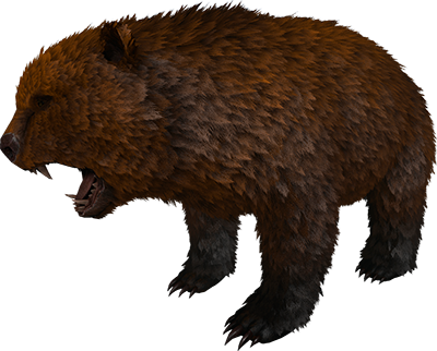 Direbear - New Dire Bear Ark (400x322), Png Download