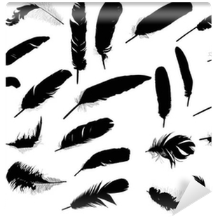 Twenty Six Black Feathers On White Wall Mural • Pixers® - White (400x400), Png Download