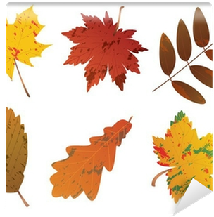 Vector Graphics (400x400), Png Download
