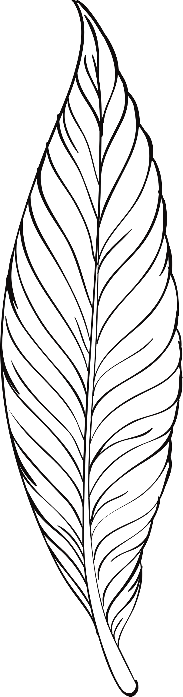 This Free Icons Png Design Of Feather Line Art (604x2298), Png Download