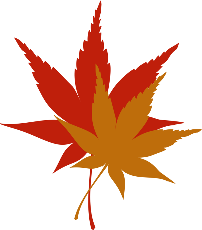 Leaves, Autumn, Yellow Leaf, Fall, Fall Leaves - Fall Leaves Clip Art (561x640), Png Download