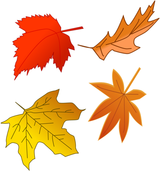 Autumn Is Very Much A Time Of Celebration The Harvest - Maple Leaf (831x936), Png Download