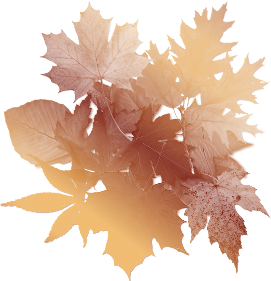 Autumn Leaves Background - Autumn Paper Png (600x600), Png Download