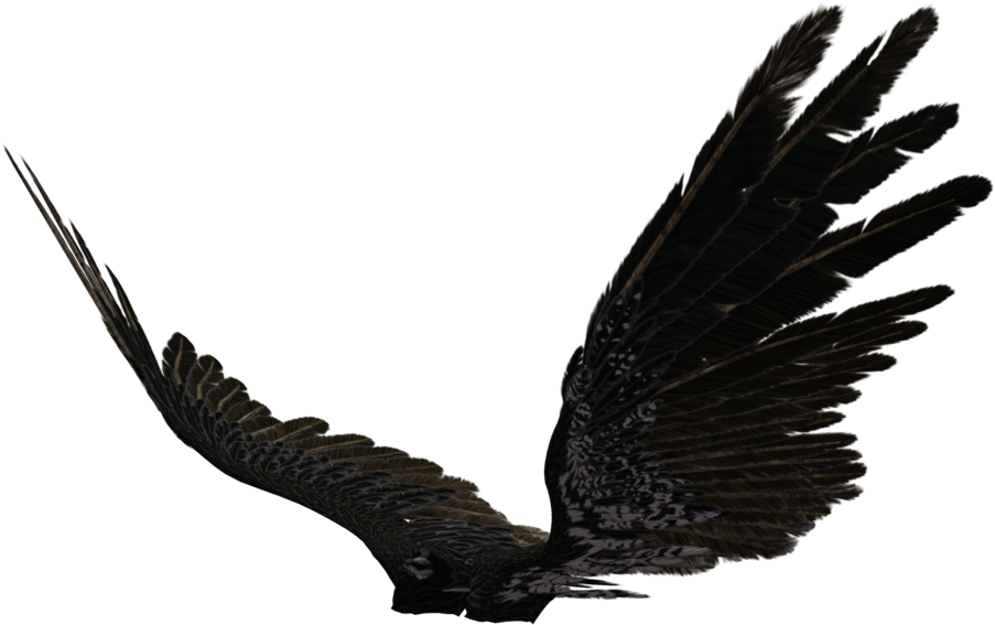 Picture Of Dark Angel Wings Allofpicts - Black Angel Wings Side View (1024x673), Png Download