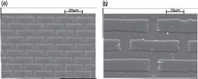 Sem Structures For Brick And Mortar Pattern In Keratin - Brick (657x283), Png Download