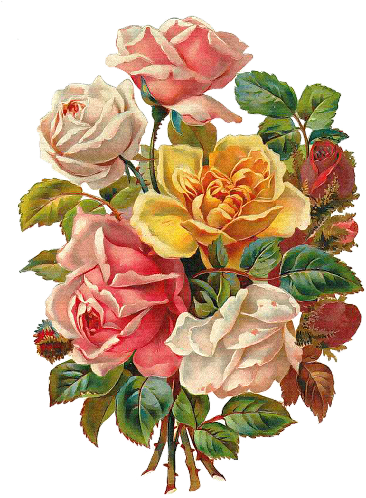 Vintage Roses Scrap - Very Nice Pictures Of Flowers (796x1024), Png Download