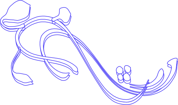White Flourish W Blue Outline Svg Clip Arts 600 X 354 (600x354), Png Download