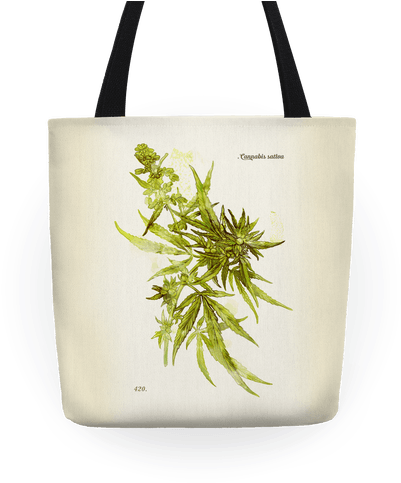 Cannabis Botanical Illustration Tote Bag - Cannabis Botanical Illustration (484x484), Png Download