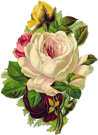 Vintage Roses Png - Винтажные Картинки Для Декупажа Цветы (345x473), Png Download