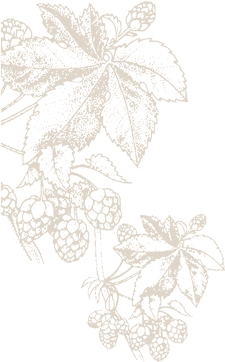 Background-flourish - Drawing (600x635), Png Download