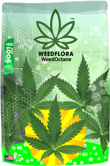 Whats In Your Bag? Tile Coaster (600x600), Png Download