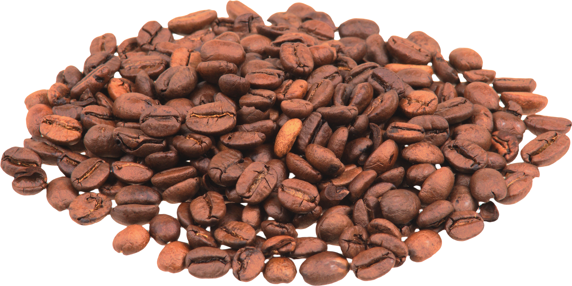Coffee Beans Png Image - Luwak Coffee Beans Png (2500x1361), Png Download