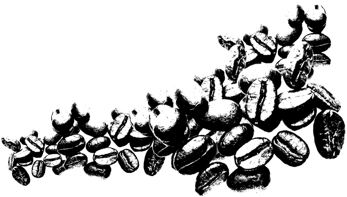 Coffee Beans - Coffee Beans Png White (691x409), Png Download