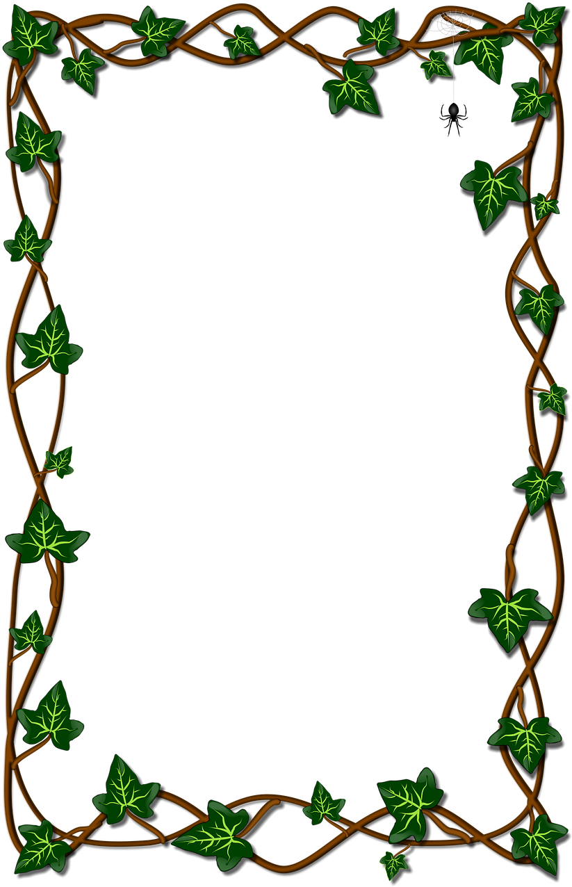 Download Leaf Ivy Flora - Leaf - Full Size PNG Image - PNGkit