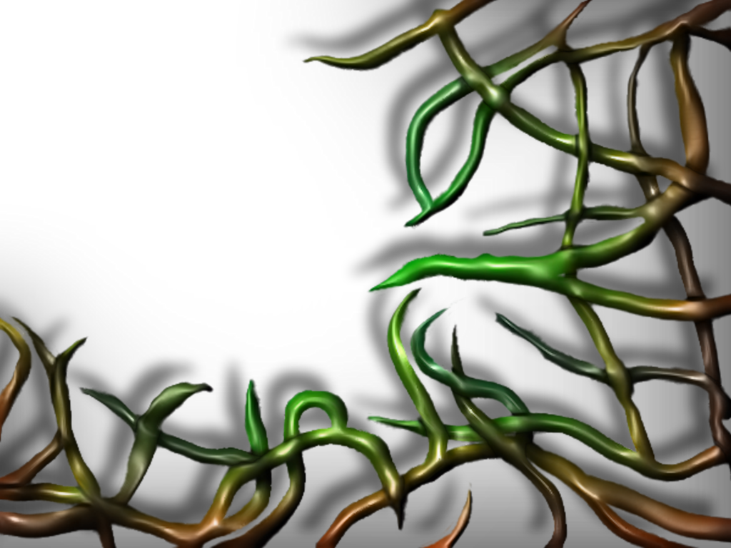 Creepy Clipart Vine - Wood Vine Png (1024x768), Png Download
