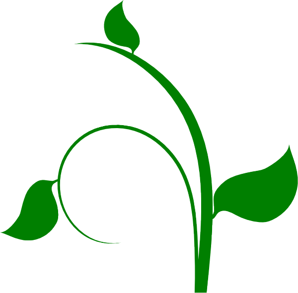 How To Set Use Vine Clipart (600x590), Png Download