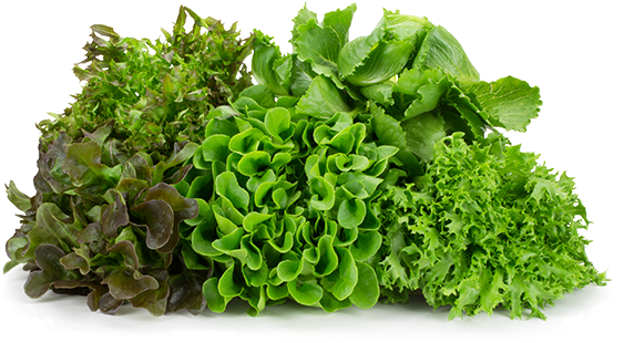 Naked Leaf Living Lettuce Loose Product Shot - Product (600x380), Png Download