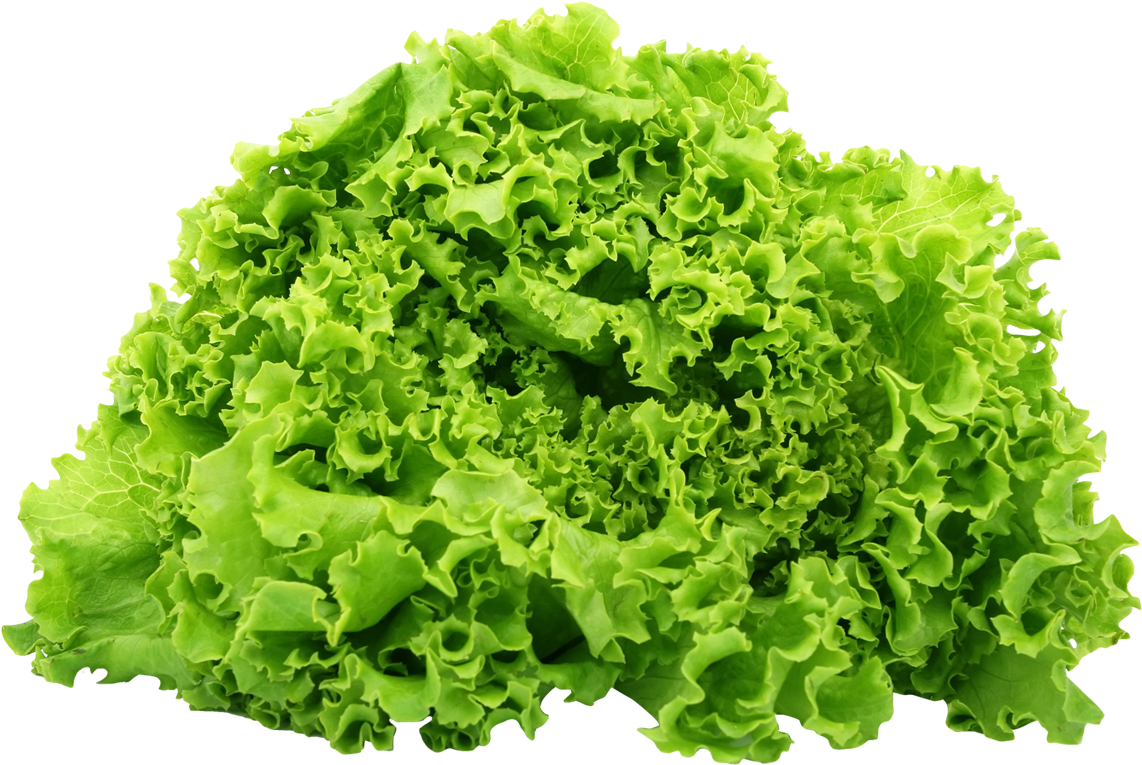 Green Lettuce Png Image - Lettuce Png (1177x808), Png Download