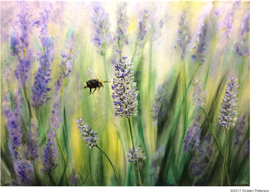 Lavender Lure - English Lavender (1024x680), Png Download