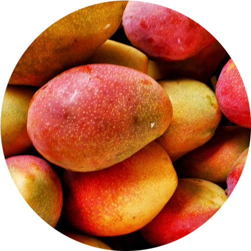 Mango Juice - Mango Flickr (1000x500), Png Download
