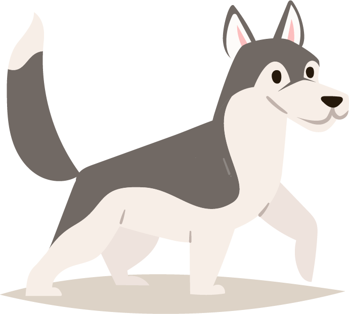 Events - Dog Catches Something (690x622), Png Download