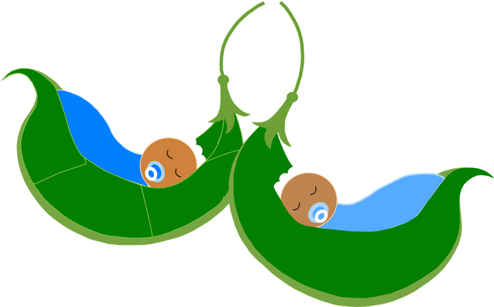 Babies In Pods - Baby In Pea Pod Clipart (1024x616), Png Download