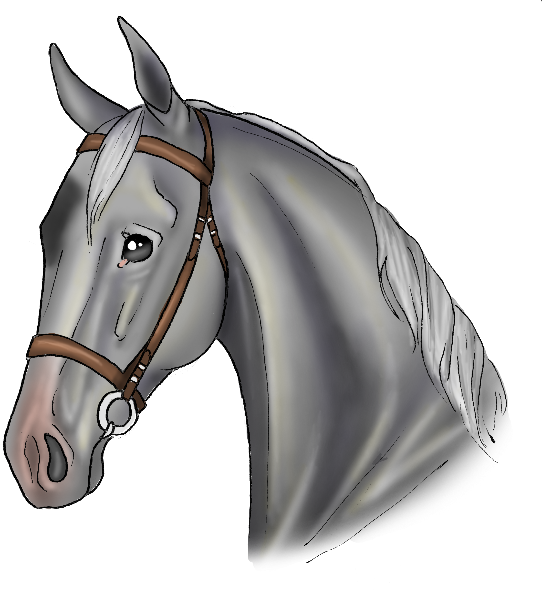 Oreo - Stallion (2620x2435), Png Download