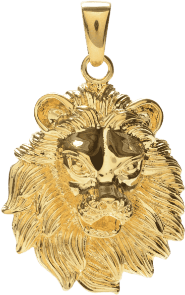 Pendant 0006 Lion Grande 8d29a254 831f 4288 Aefa Bb77904b8031 - Locket (783x783), Png Download