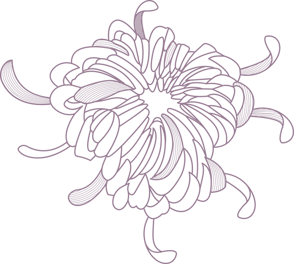 Flower Outline - Flower (591x530), Png Download