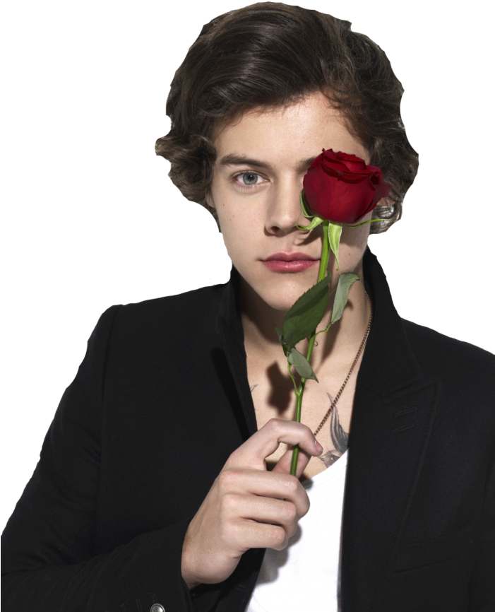 #гарри Стайлс #ван Дирекшен #роза #png #harry Styles - Harry Styles With Rose (700x932), Png Download