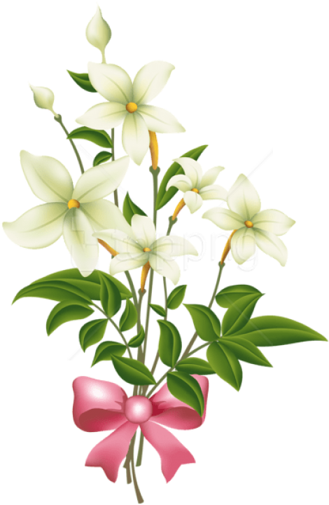 Free Png Download White Flowers With Pink Bow Png Images - Pink And White Flowers Png (480x737), Png Download