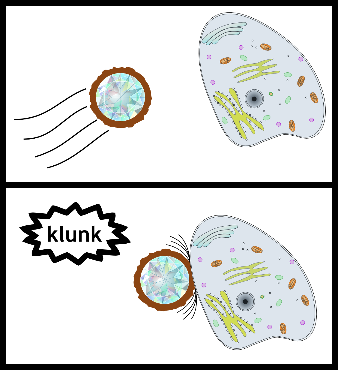 Representation Of A Nanodiamond With A Chemical Coating - Animal Cell Clip Art (1127x1233), Png Download