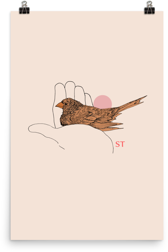 Brown Thrasher (1000x1000), Png Download
