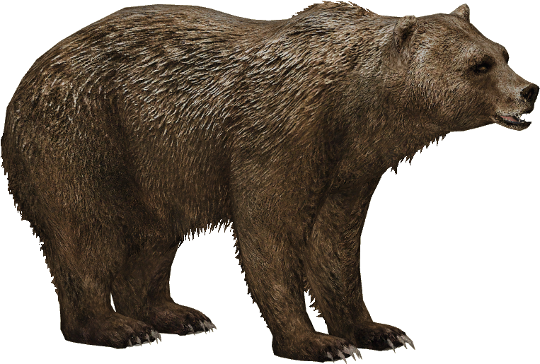 Grizzly Bear - Short Faced Bear Png (762x762), Png Download