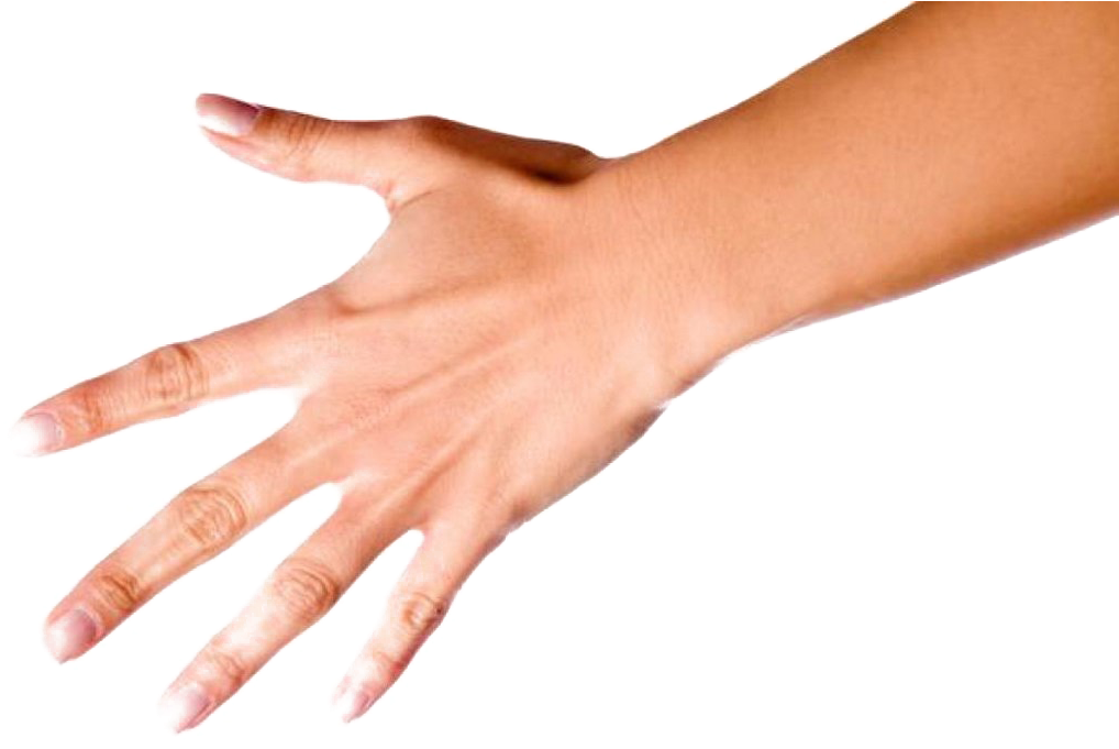 Finger Download Transparent Png Image - Finger (1079x720), Png Download