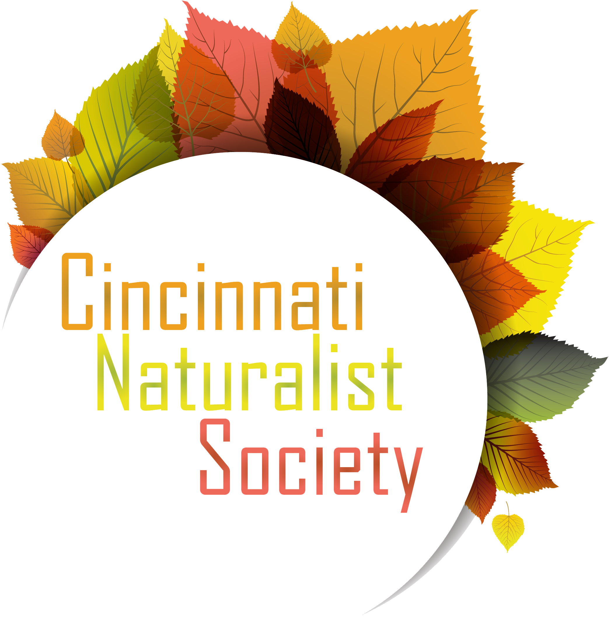 Displaying 19 Gt Images For - Vector Graphics (2531x2517), Png Download