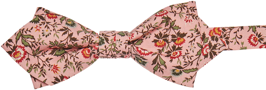 Paisley (960x1440), Png Download