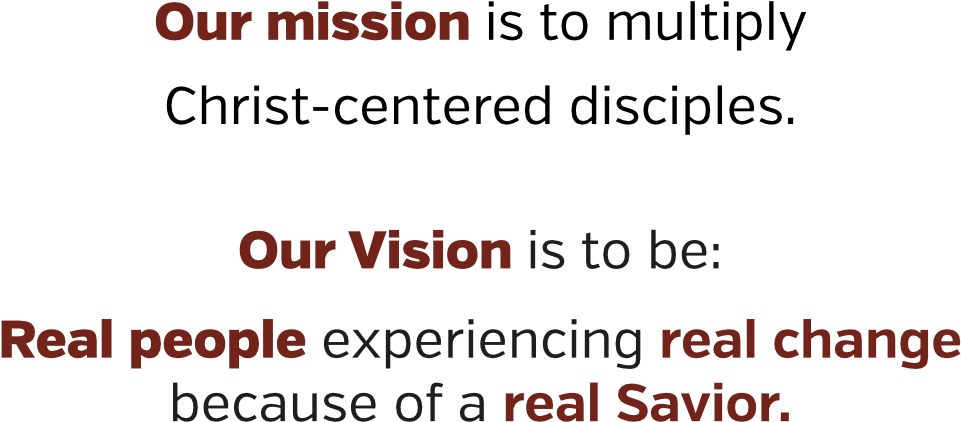 Mission Vision - Sanctuary For Families (1000x500), Png Download
