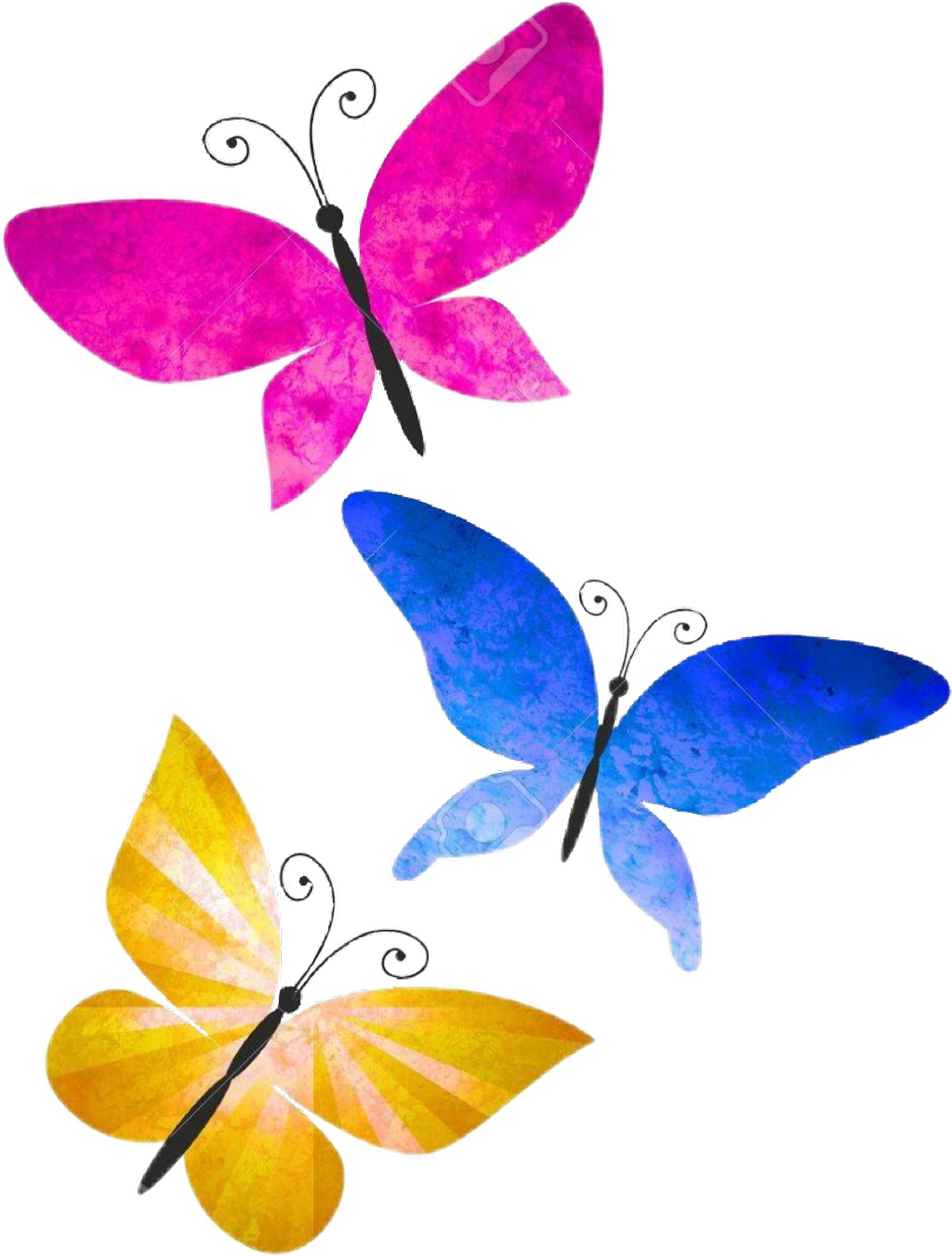 #mariposas #colores #butterfly - Mariposas De Colores Con Acuarelas (1024x1352), Png Download