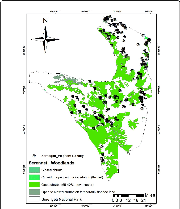Woodlands In Serengeti National Park - Atlas (769x889), Png Download