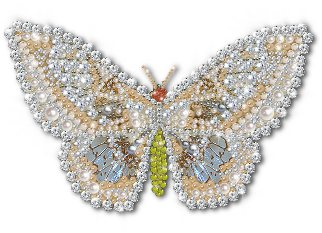 Mariposas Png - Jewellery (660x630), Png Download