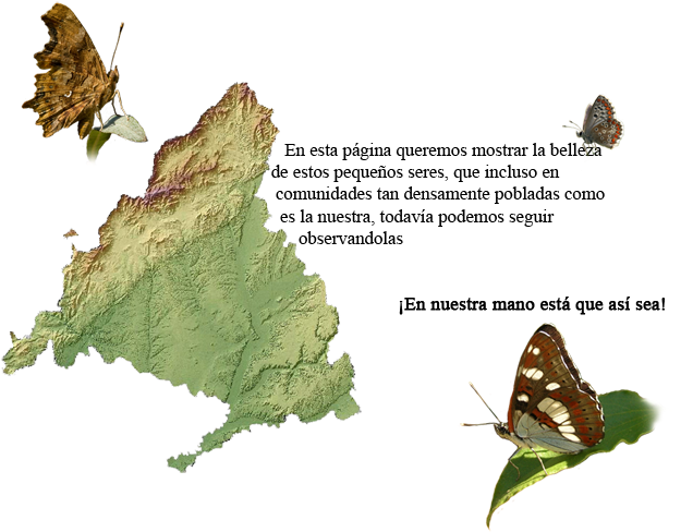 En Esta Página Queremos Mostrar La Belleza De Estos - Madrid Xaritasi (700x699), Png Download