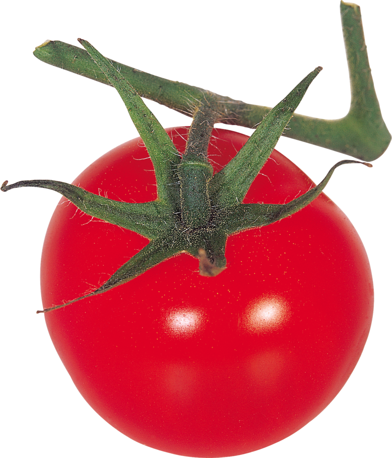 Tomato Png, Download Png Image With Transparent Background, - Plum Tomato (800x935), Png Download