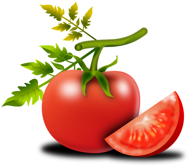 Tomato Png Shop Of Library Buy Clip Ⓒ - มะเขือเทศ Png (817x720), Png Download