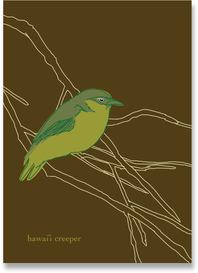 Hawai'i Creeper Notecard - Illustration (1000x1000), Png Download