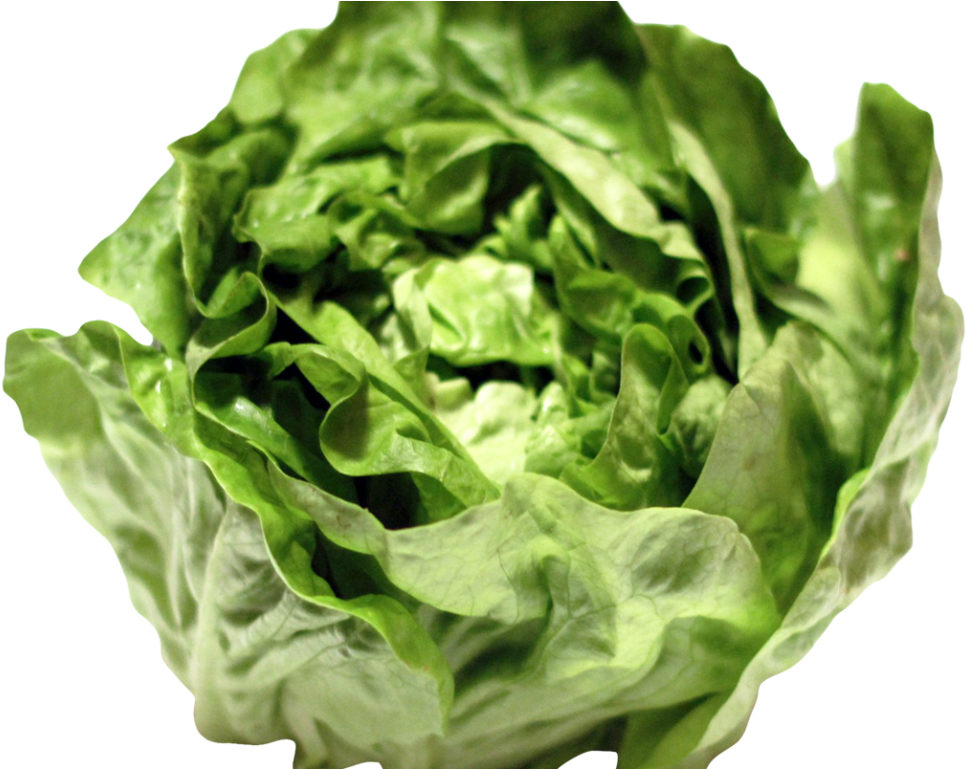 Lettuce Png Image - Png Lettuce (1024x768), Png Download