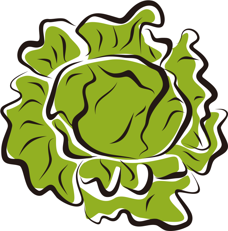 Iceberg Salad Clip Art Royalty Free - Lettuce Clip Art (789x801), Png Download