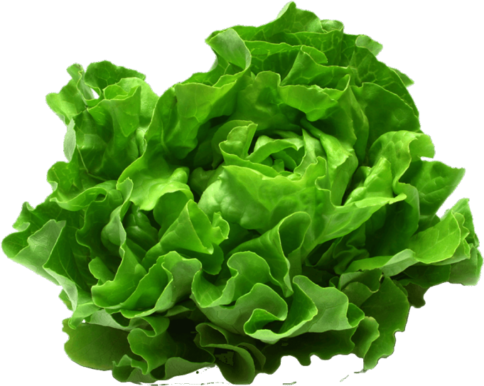 Meals - Vegetable Cruelty (700x700), Png Download