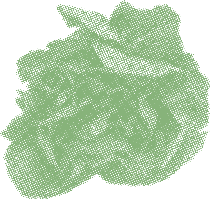 Salad Starters - Spinach Greens (676x643), Png Download